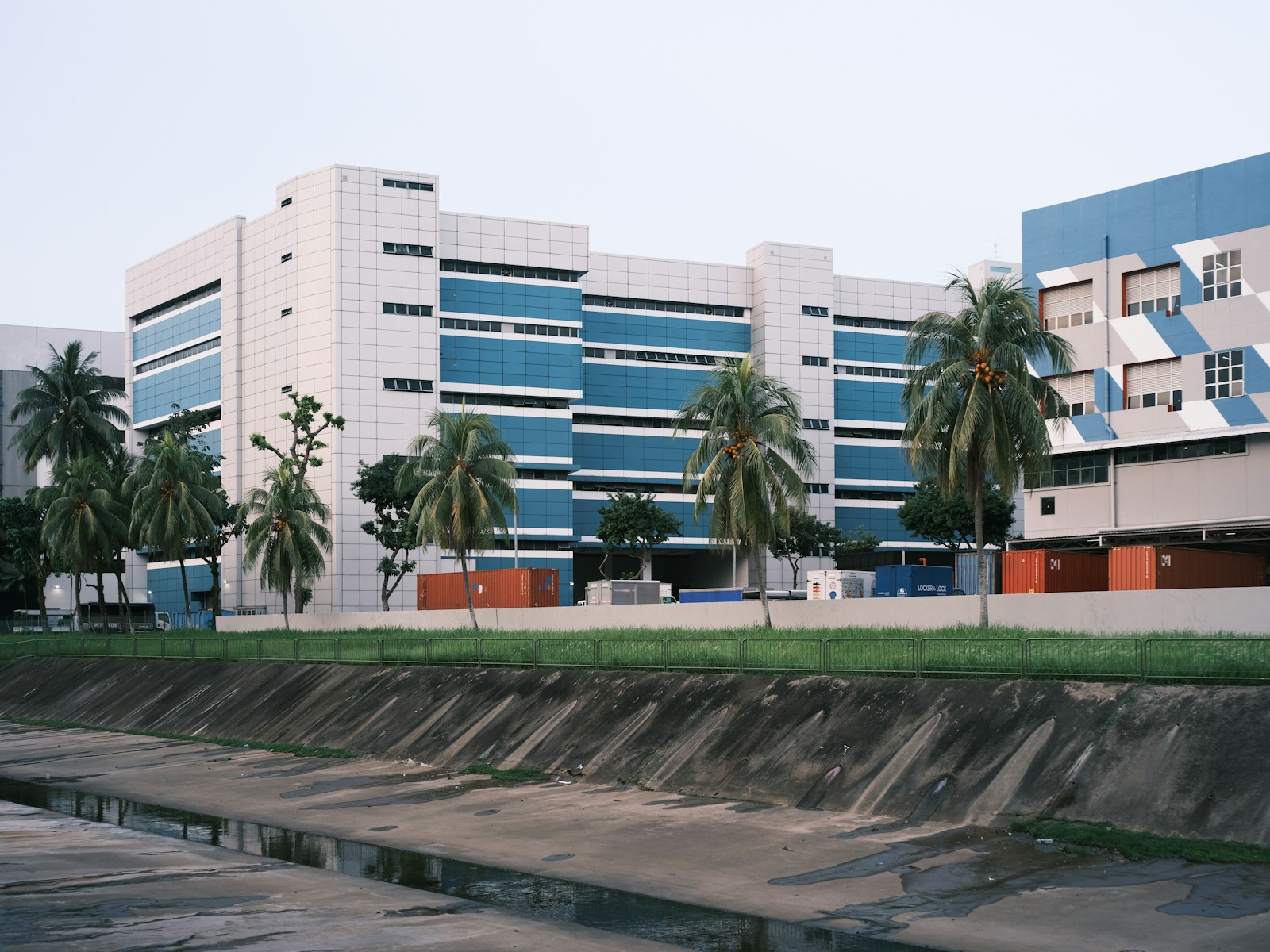 green palm trees near white concrete building during daytime